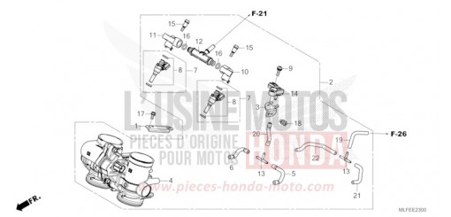 CORPS DE PAPILLON NT1100DES de 2025
